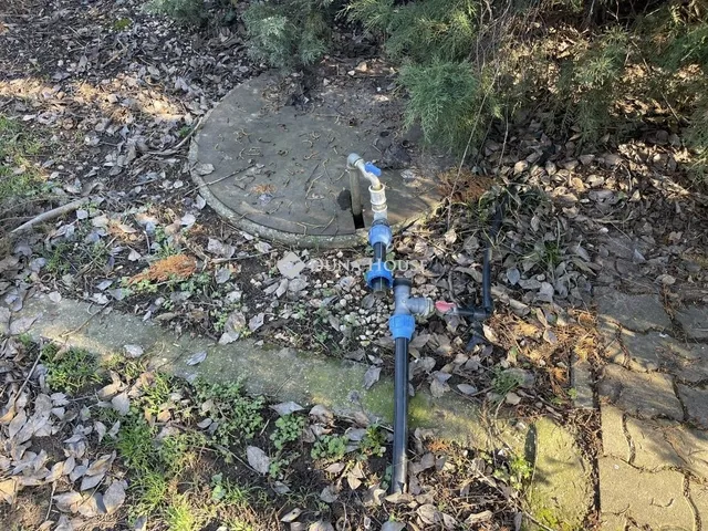 Eladó mezőgazdasági ingatlan Dabas 100 nm