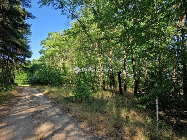 Eladó telek Vasad 233997 nm