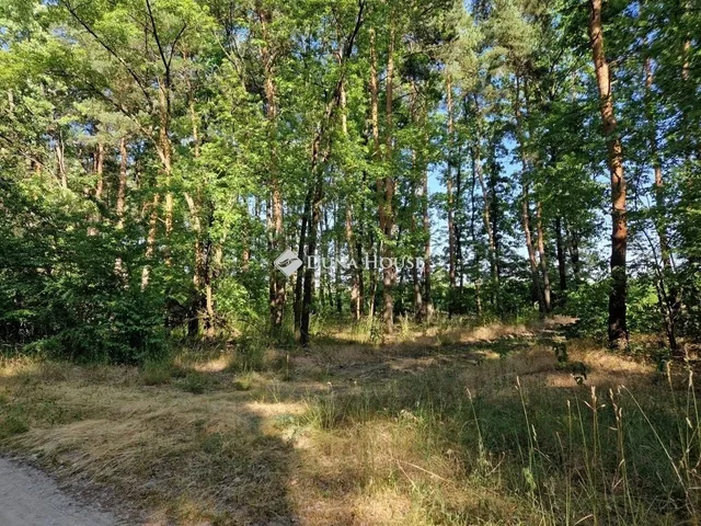 Eladó telek Vasad 233997 nm