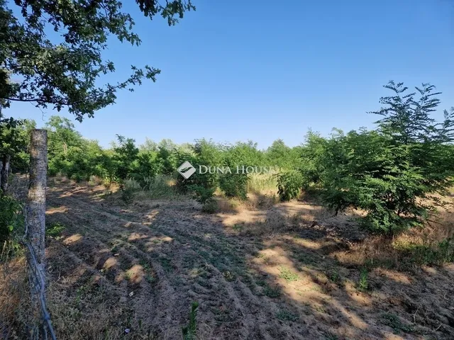 Eladó telek Vasad 233997 nm