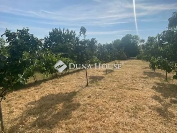 Eladó üdülő és hétvégi ház Budapest XXII. kerület 40 nm