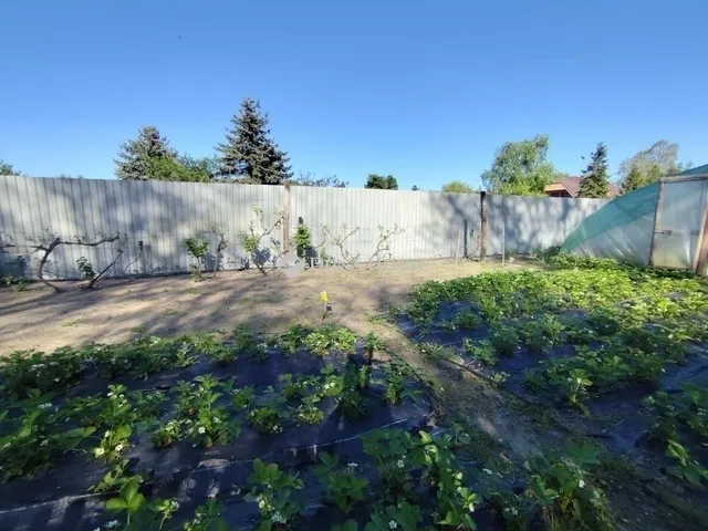 Eladó ház Ócsa 150 nm