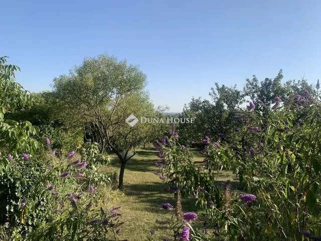 Eladó telek Budapest XXII. kerület 4886 nm
