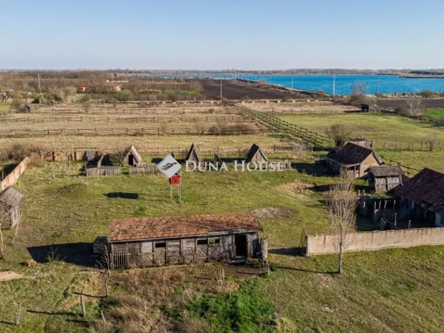 Eladó mezőgazdasági ingatlan Délegyháza 185 nm