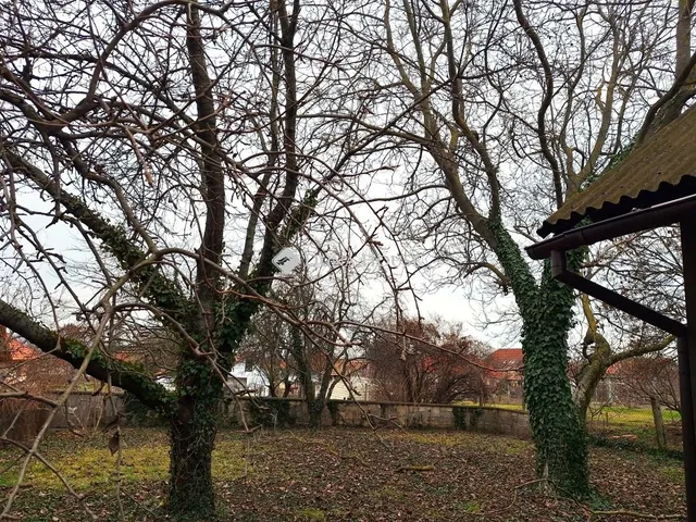 Eladó ház Tök 291 nm