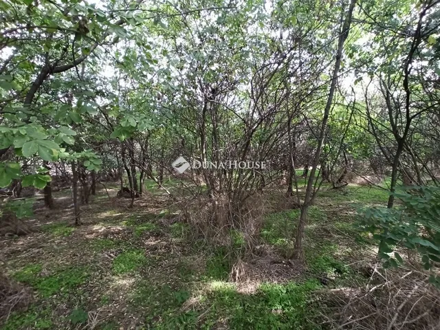 Eladó telek Alsónémedi 9422 nm