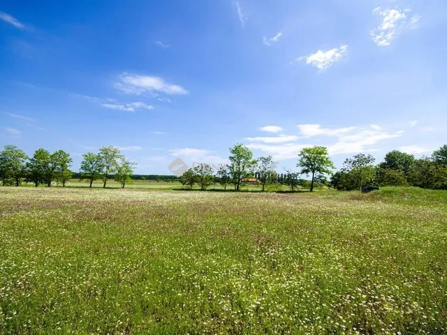 Eladó kereskedelmi és ipari ingatlan Inárcs 32057 nm