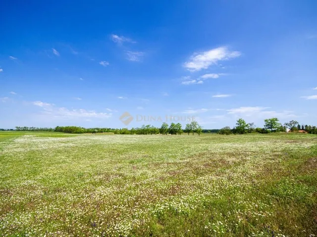 Eladó kereskedelmi és ipari ingatlan Inárcs 32057 nm