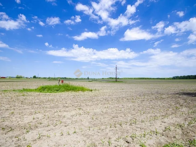 Eladó telek Pusztavacs 40000 nm