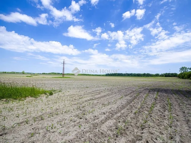 Eladó telek Pusztavacs 40000 nm