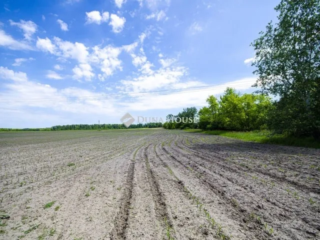 Eladó telek Pusztavacs 40000 nm