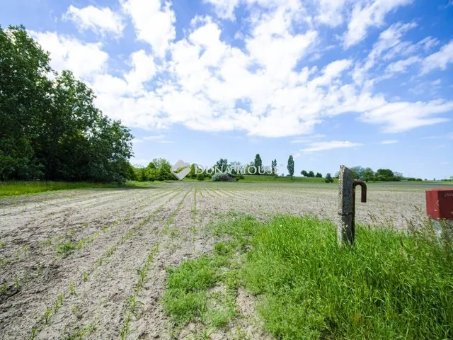 Eladó telek Pusztavacs 40000 nm