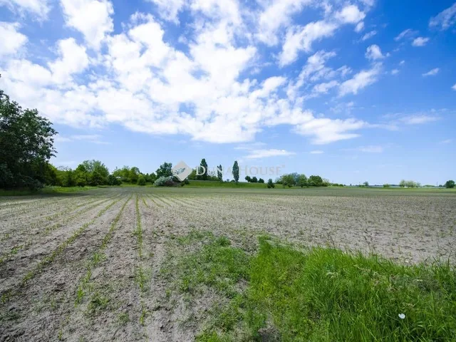 Eladó telek Pusztavacs 40000 nm