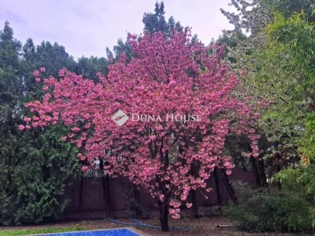 Eladó ház Szentendre 399 nm