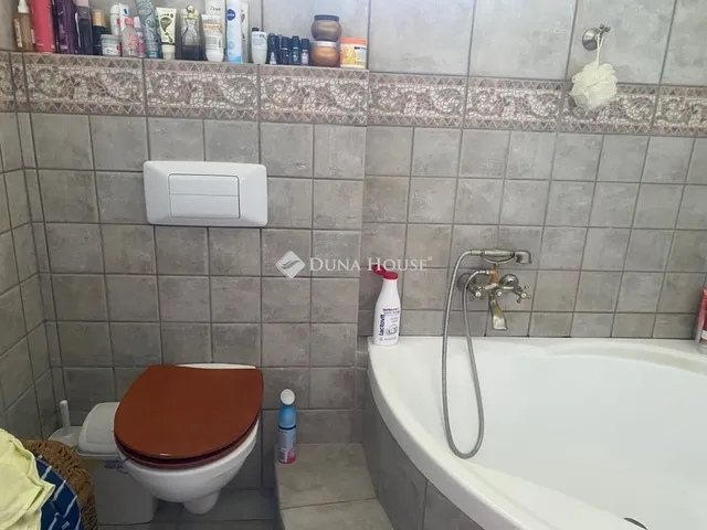 Eladó ház Taksony 390 nm