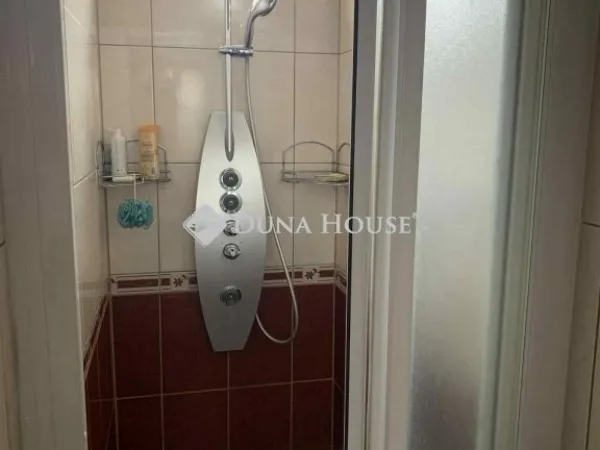 Eladó ház Vecsés 265 nm