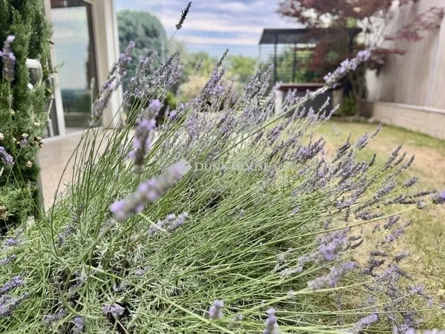 Eladó lakás Budaörs 98 nm