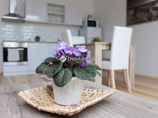Eladó lakás Budapest VII. kerület, Ligetváros 73 nm