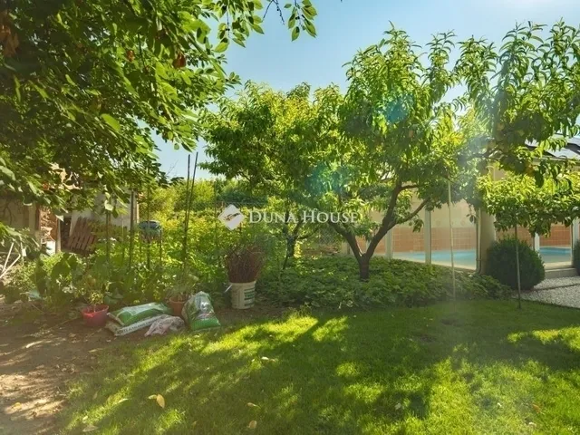Eladó ház Halásztelek 305 nm