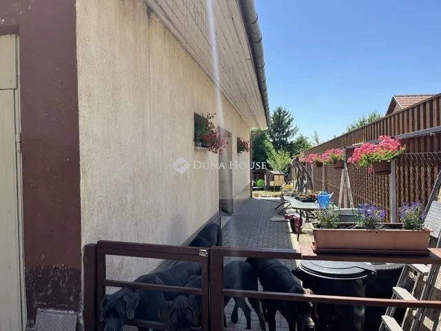 Eladó ház Szentendre 274 nm