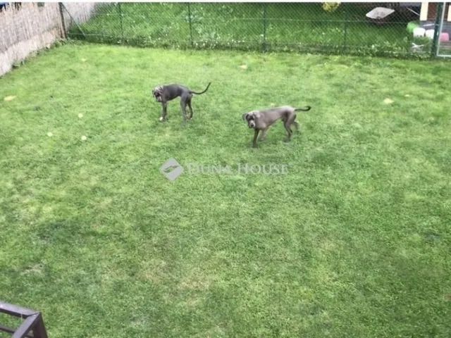 Eladó ház Szentendre 274 nm