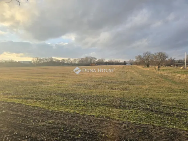 Eladó kereskedelmi és ipari ingatlan Tárnok 10000 nm