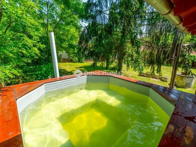 Eladó mezőgazdasági ingatlan Pusztavacs 275 nm