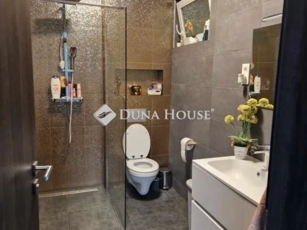 Eladó ház Monor 248 nm