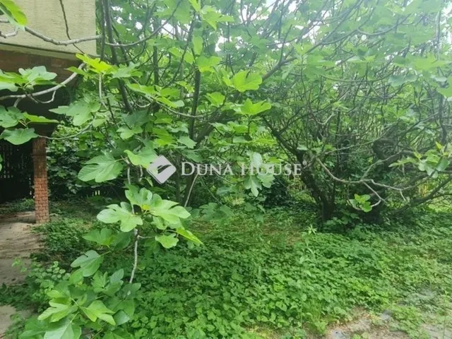 Eladó ház Budapest XII. kerület 294 nm