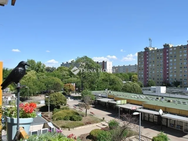 Eladó lakás Budapest XIX. kerület, Kispest 53 nm