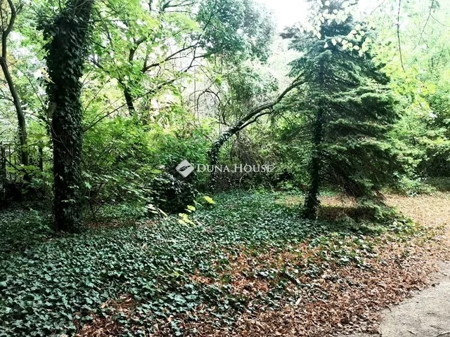 Eladó lakás Budapest II. kerület 93 nm