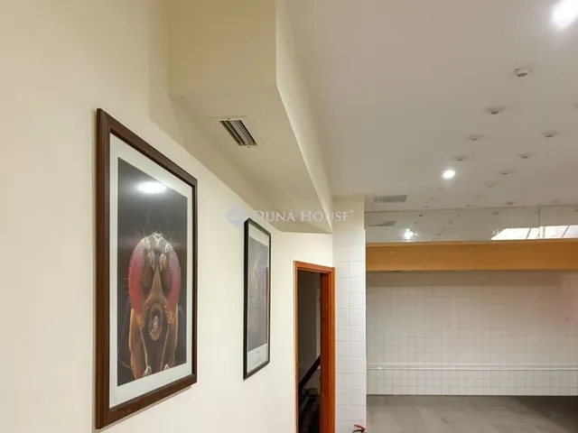 Eladó kereskedelmi és ipari ingatlan Budapest XIII. kerület 276 nm