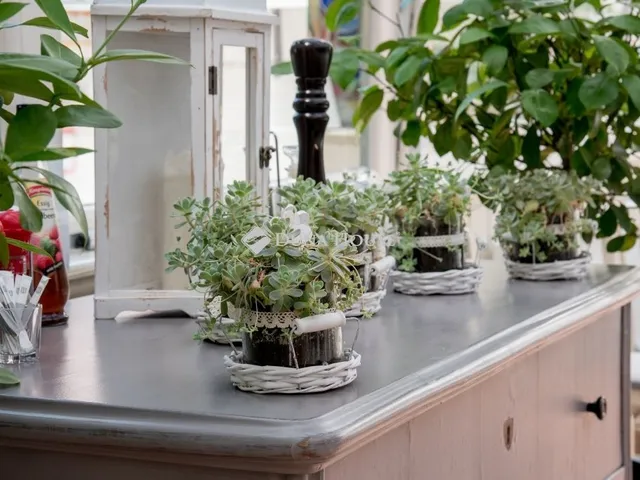 Eladó kereskedelmi és ipari ingatlan Monor 2016 nm