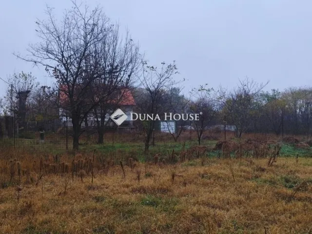 Eladó mezőgazdasági ingatlan Alsónémedi 100 nm
