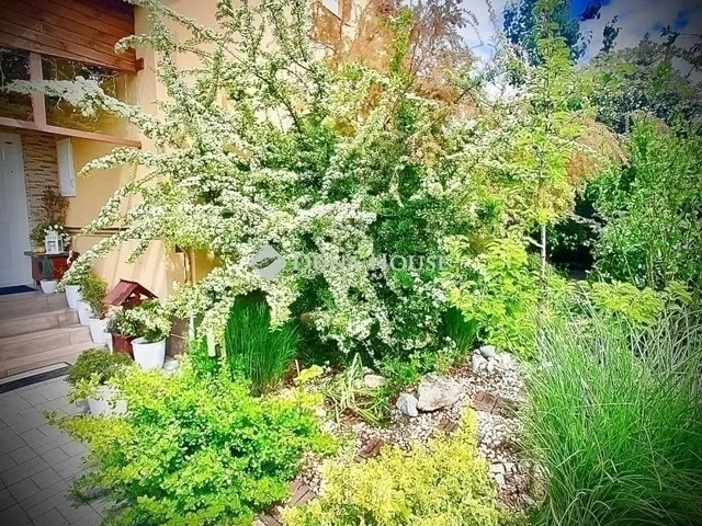 Eladó ház Budapest XVII. kerület 123 nm