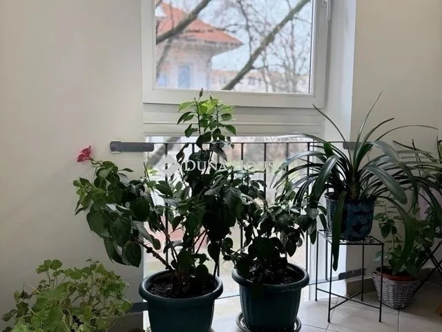 Eladó lakás Budapest X. kerület 56 nm