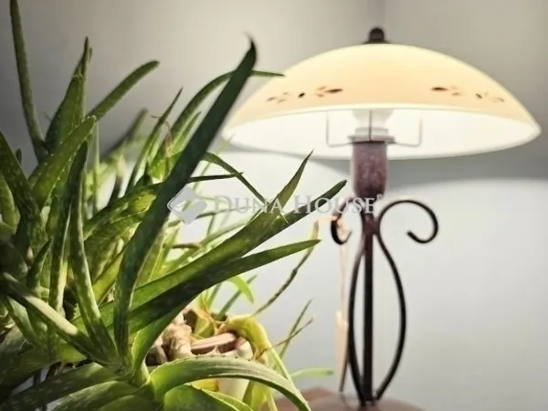 Eladó lakás Budapest XI. kerület 50 nm