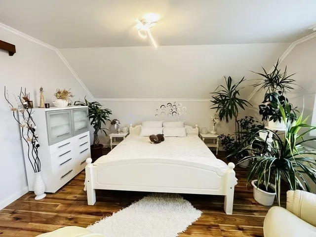 Eladó ház Monor 190 nm