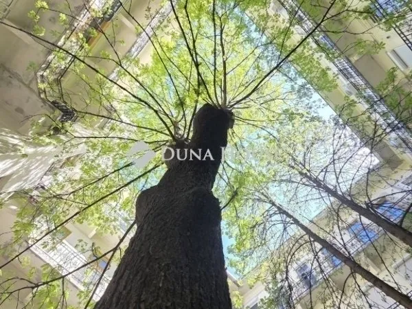 Eladó lakás Budapest VIII. kerület 42 nm