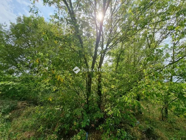 Eladó telek Szigetcsép 417 nm
