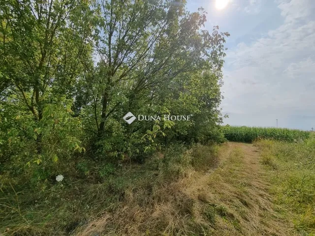 Eladó telek Szigetcsép 417 nm