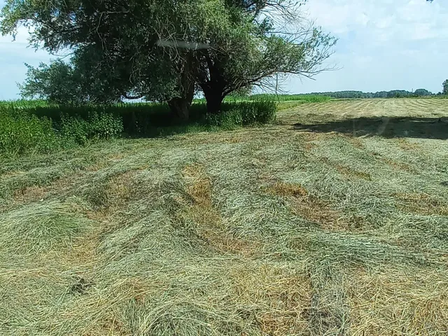 Eladó telek Sükösd 184504 nm