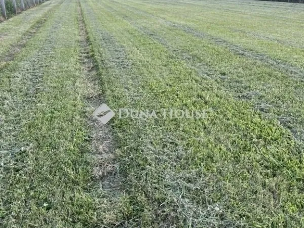 Eladó telek Gödöllő 6427 nm