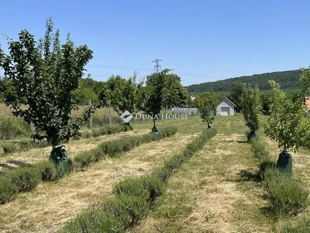 Eladó telek Gödöllő 6427 nm