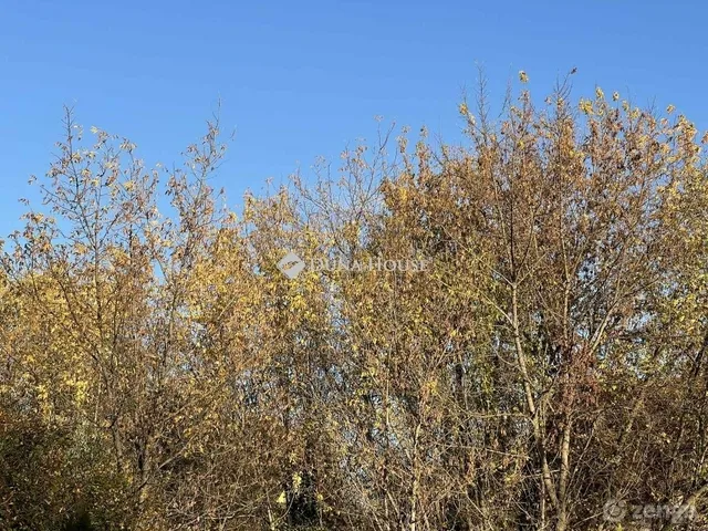 Eladó telek Szeged 387 nm