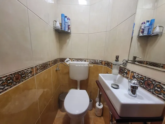 Eladó ház Leányfalu 195 nm
