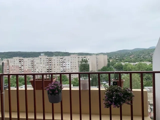Eladó lakás Budapest III. kerület 50 nm