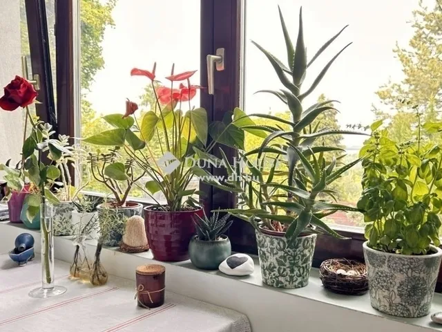 Eladó ház Tahitótfalu 60 nm