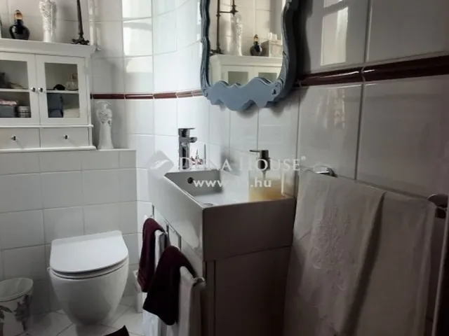 Eladó ház Leányfalu 250 nm