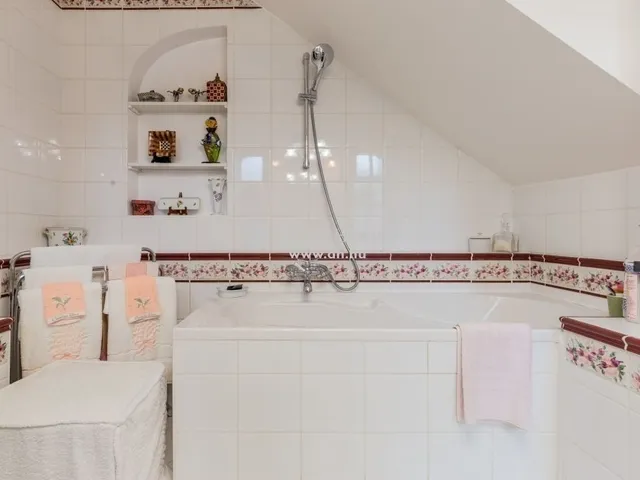 Eladó ház Leányfalu 250 nm